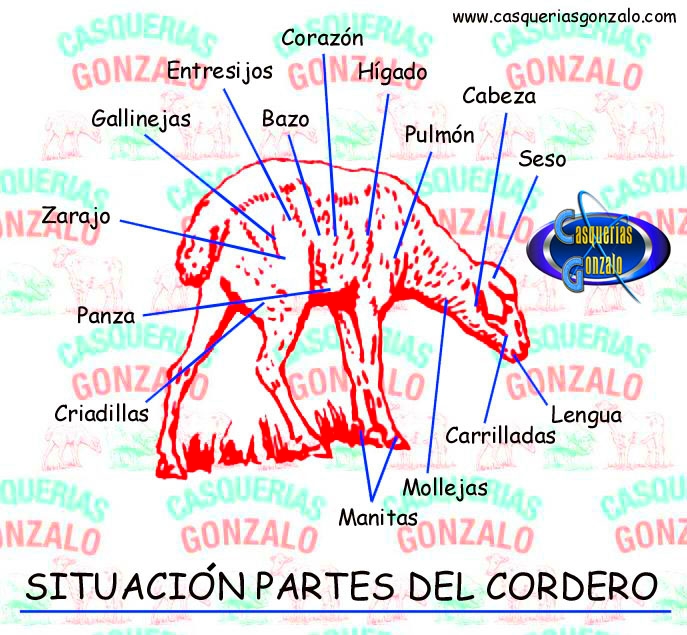 Descripción y ubicación de las partes de casquería del cordero.